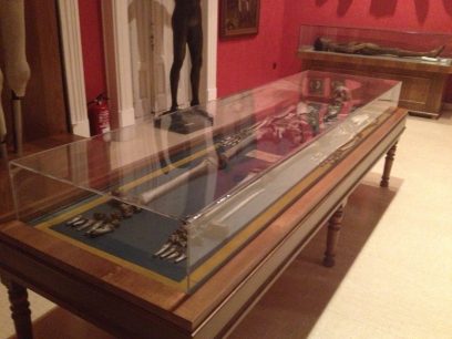 Vitrina que contiene los restos óseos de Agustín Luengo y que se puede ver en el Museo Nacional de Antropología de Madrid