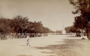 Paseo de la Castellana, en Madrid (Fotografía antigua)