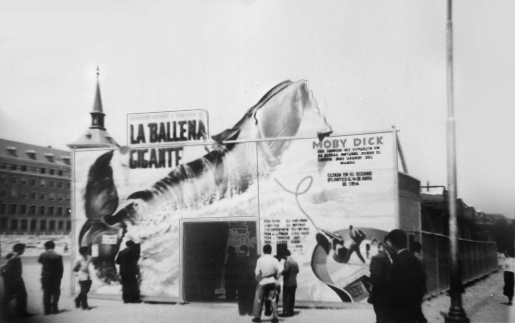 Ballena en Madrid