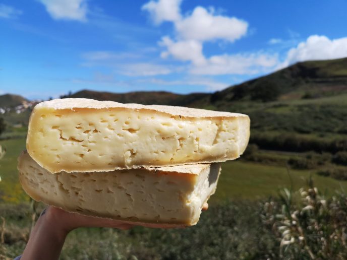 Foro Internacional de Queso Canario
